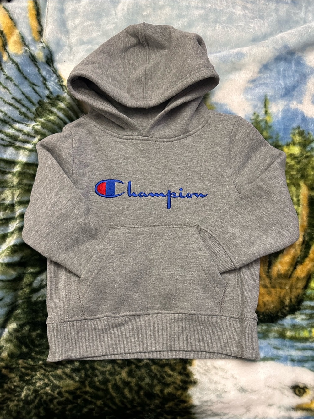 Champion Kids Grey Hoodie with Blue & Red Logo